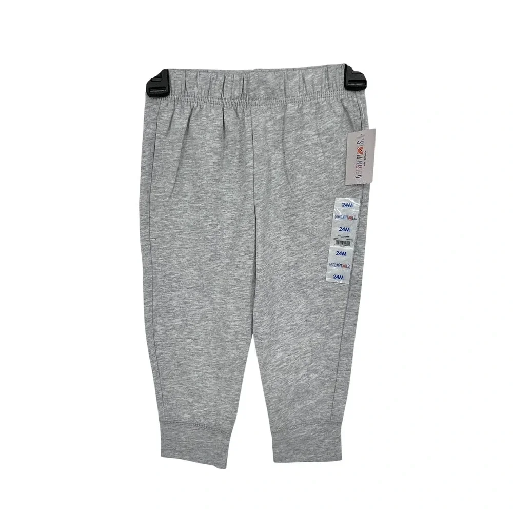 Garanimals Outfit Set Boys 2T/24M Wine Grey Dinosaur Raglan Thermal Joggers